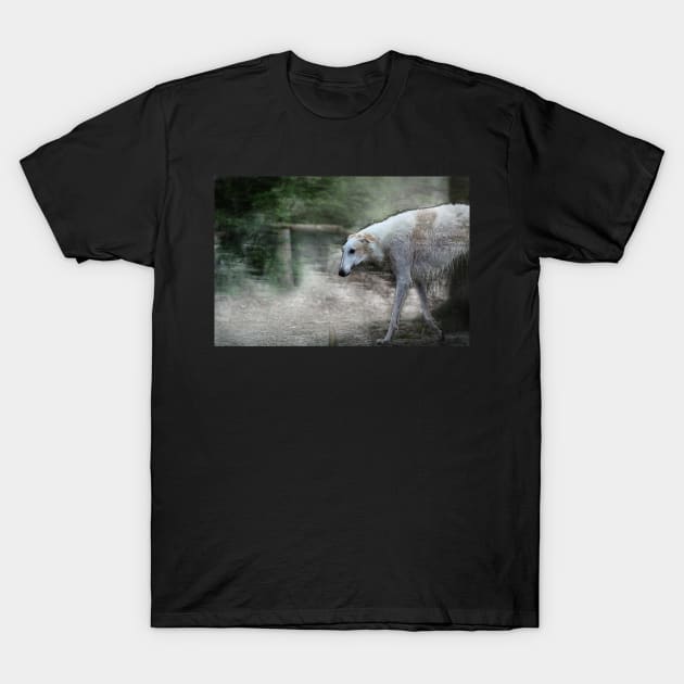 greyhound, whippet - 02 T-Shirt by hottehue